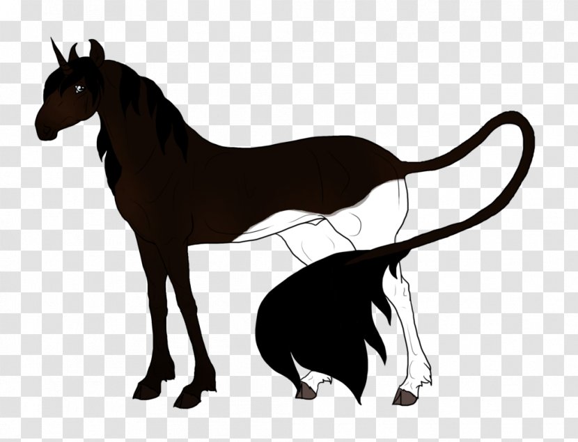 Foal Mustang Mare Stallion Colt - Halter Transparent PNG