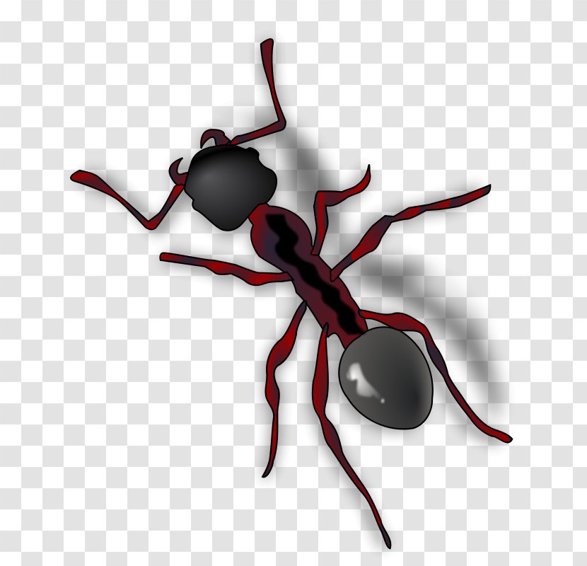 Queen Ant Clip Art - Scalable Vector Graphics - Cartoon Pictures Of Ants Transparent PNG