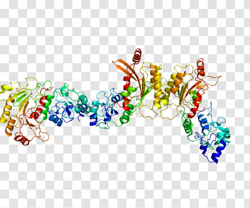 DNA Methyltransferase DNMT3L Protein Methylation Enzyme - Heart - Flower Transparent PNG