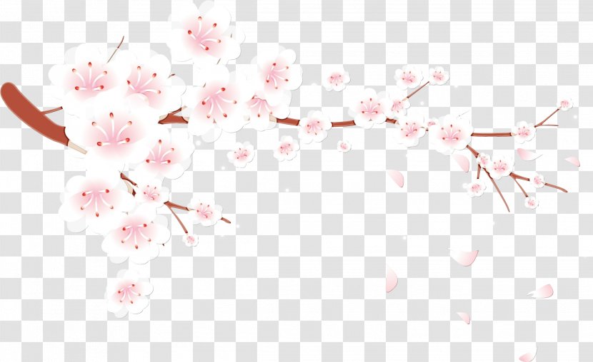Cherry Blossom - Watercolor - Plant Spring Transparent PNG