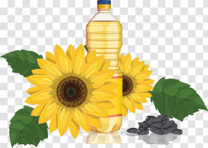 Common Sunflower Oil Seed - Petal - Vector Transparent PNG