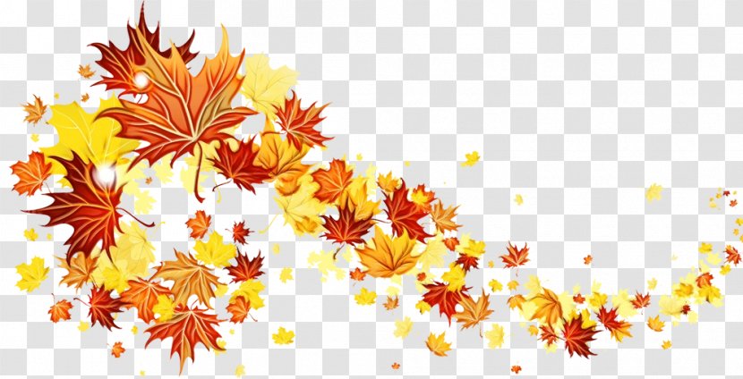 Autumn Leaf - Flower Maple Transparent PNG