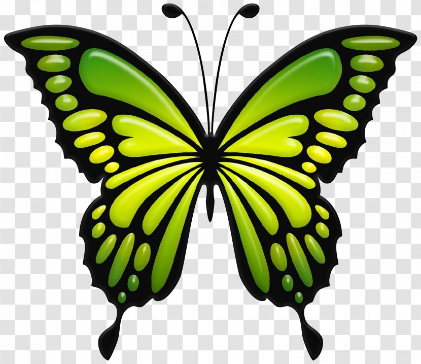 Clip Art Butterfly Openclipart Image - Monarch - Wing Transparent PNG