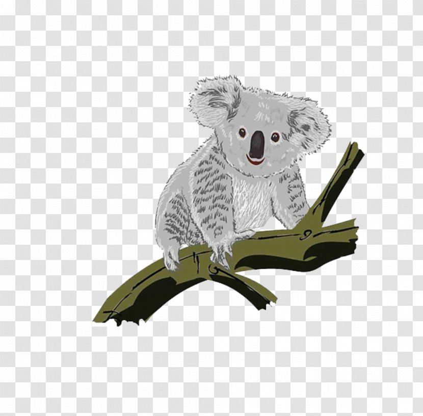 Koala Download - Template - Climbing Trees Transparent PNG