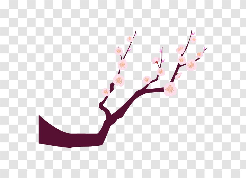 Plum Blossom Branch Illustration Illustrator Tree - Cherry Transparent PNG