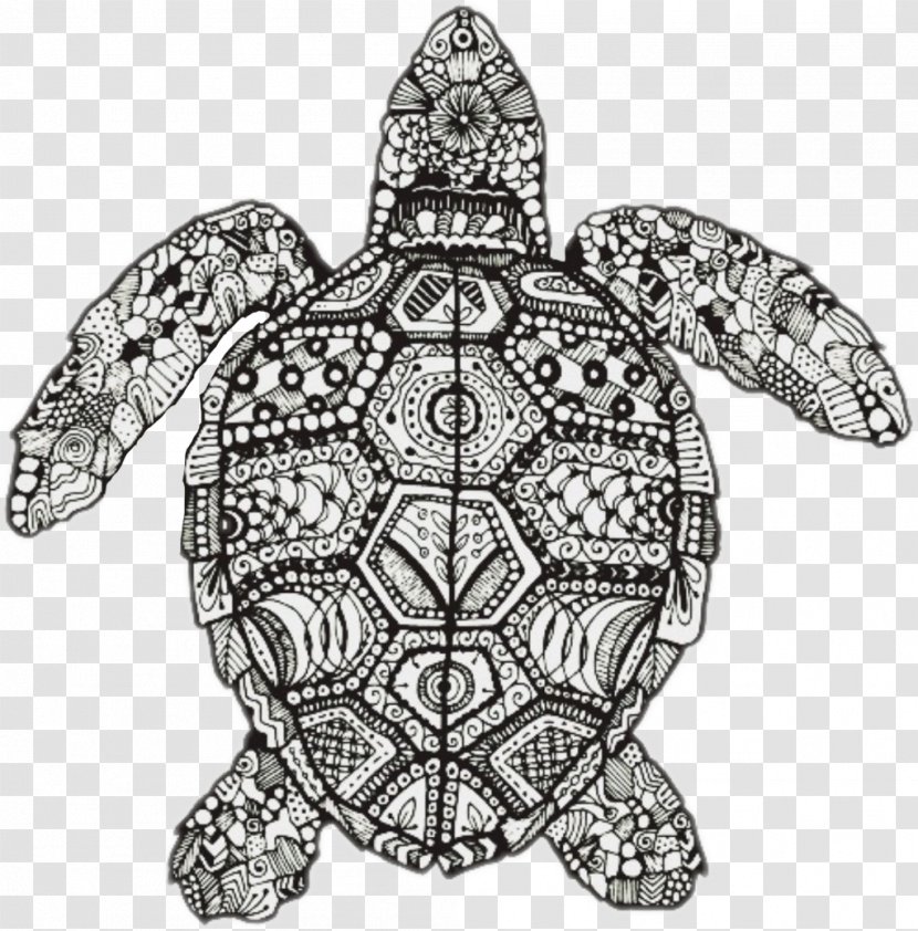 Tribal Turtle Turtle Tattoo Stock Photos and Images  123RF