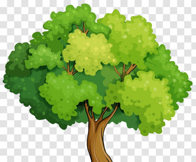 Cartoon - Child - Foreground Tree Transparent PNG