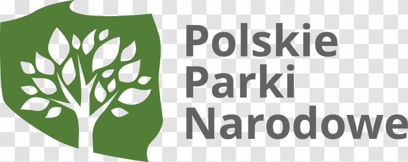 Pieniny National Park Polskie Parki Narodowe Wielkopolski Wigry Tatra Park, Poland Transparent PNG