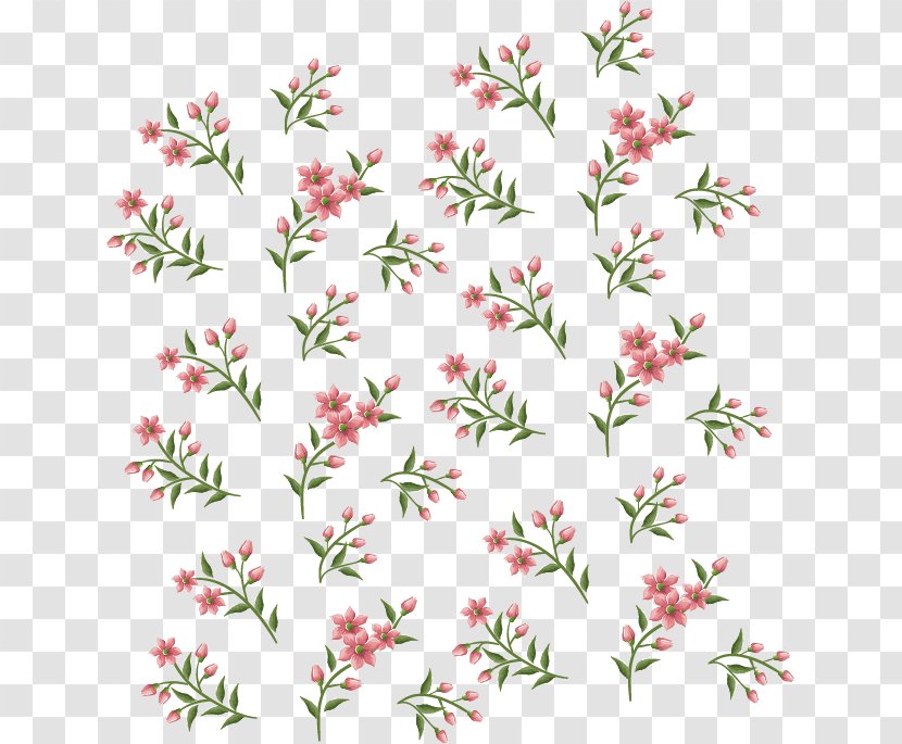 Flower Petal - Template - Floral Background Transparent PNG