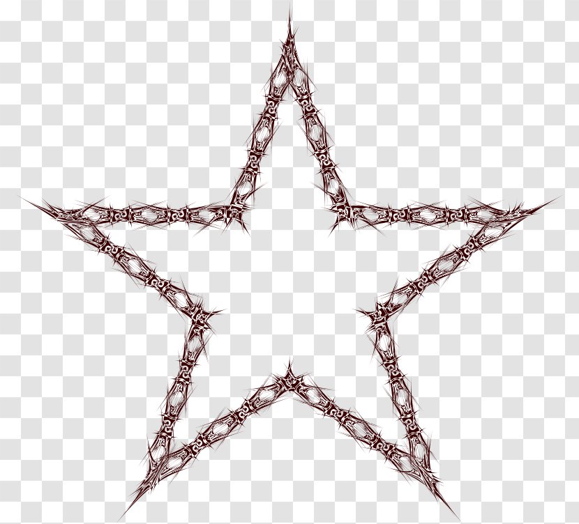 Five-pointed Star - Fivepointed Transparent PNG