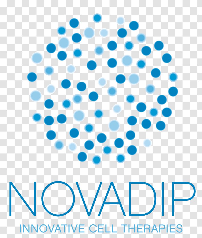 Université Catholique De Louvain Sopartec Sa Novadip Biosciences SA Pharmasimple - Corporate Spinoff - Belgium Transparent PNG