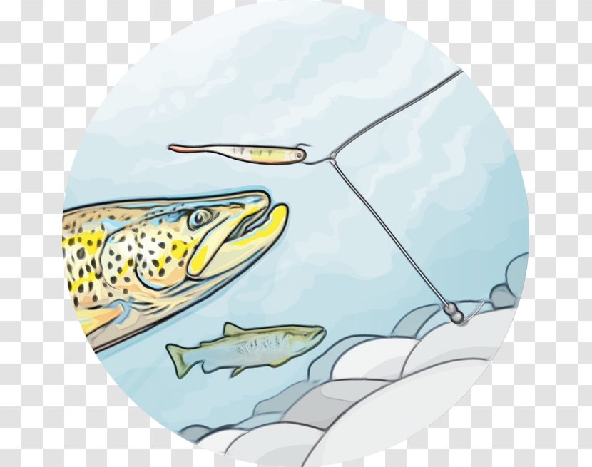 Water Cartoon - Tableware Bass Transparent PNG