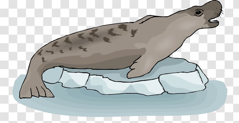 Sea Lion Earless Seal Free Clip Art - Lions Transparent PNG