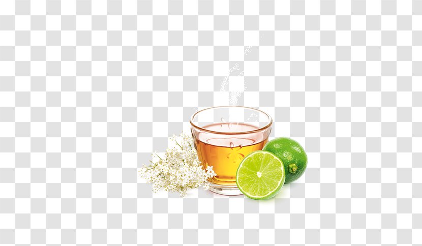 Lime Lemon Juice Meßmer Citric Acid Transparent PNG