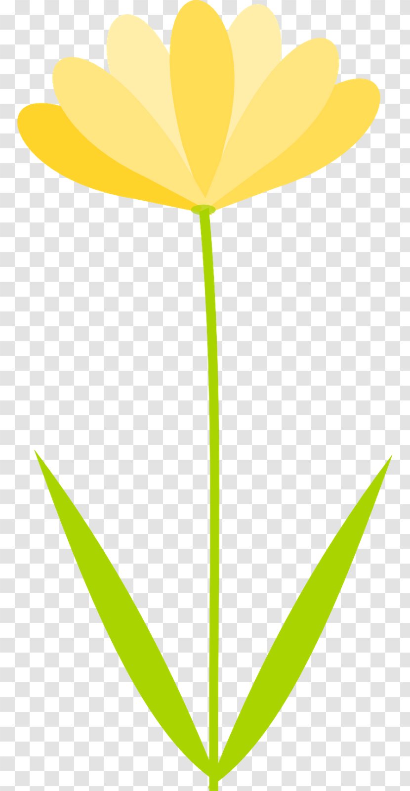 Flower Petal Desktop Wallpaper Clip Art - Flowering Plant - No Flowers Cliparts Transparent PNG