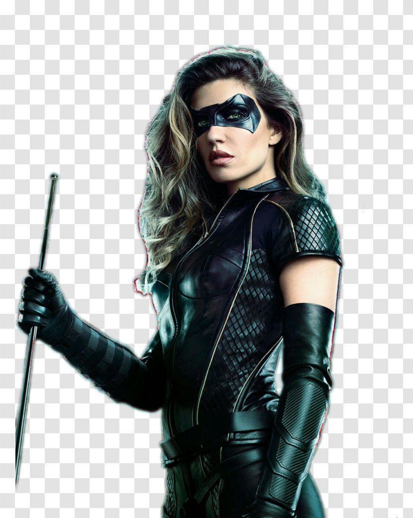 Black Canary Green Arrow Juliana Harkavy Sara Lance - Tree Transparent PNG