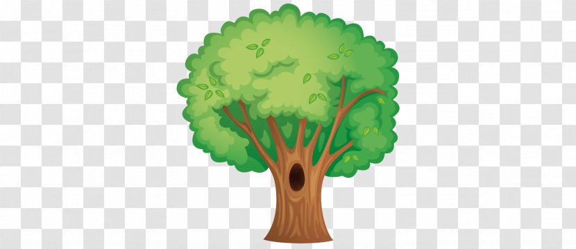 Drawing Trees Clip Art - Organism - Tree Transparent PNG