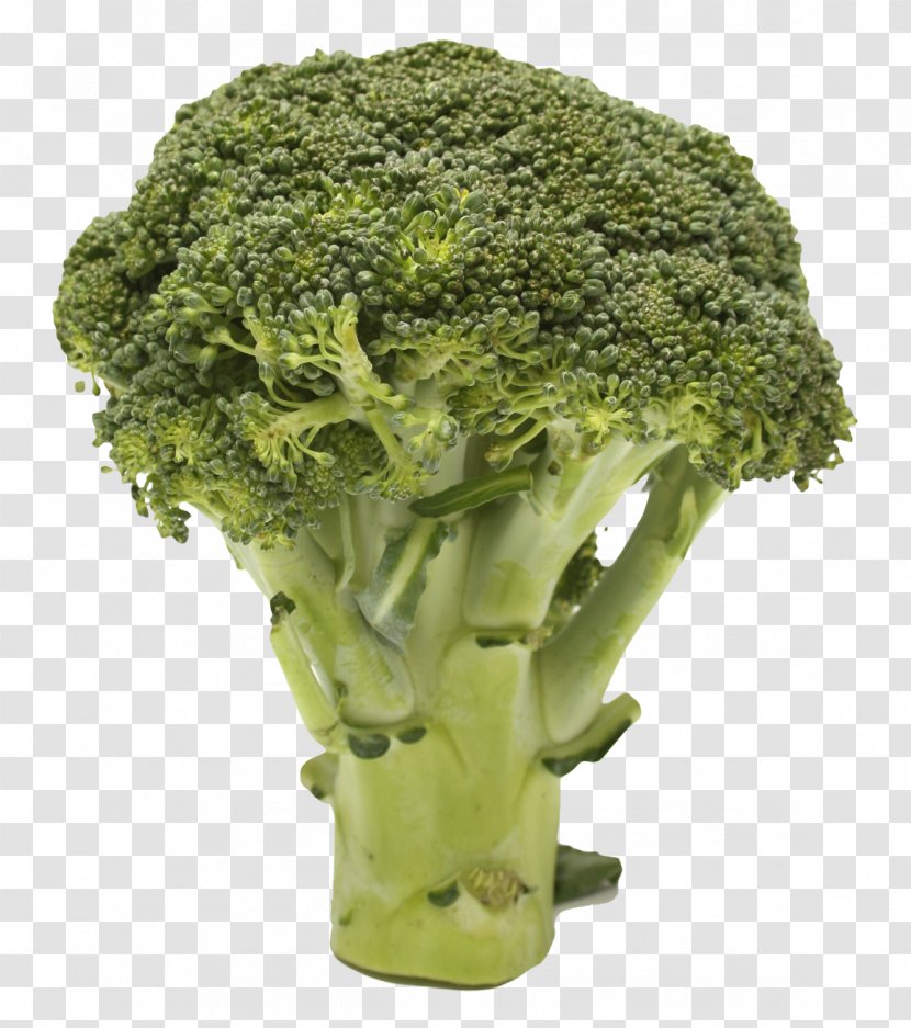 Clip Art Broccoli Transparency Vegetable Image - Vegetarian Food - Green Fig Transparent PNG