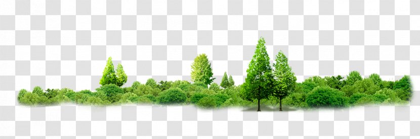 Thailand Tree Sufficiency Economy Forest - Green - Corner Forest-free Buckle Material Transparent PNG
