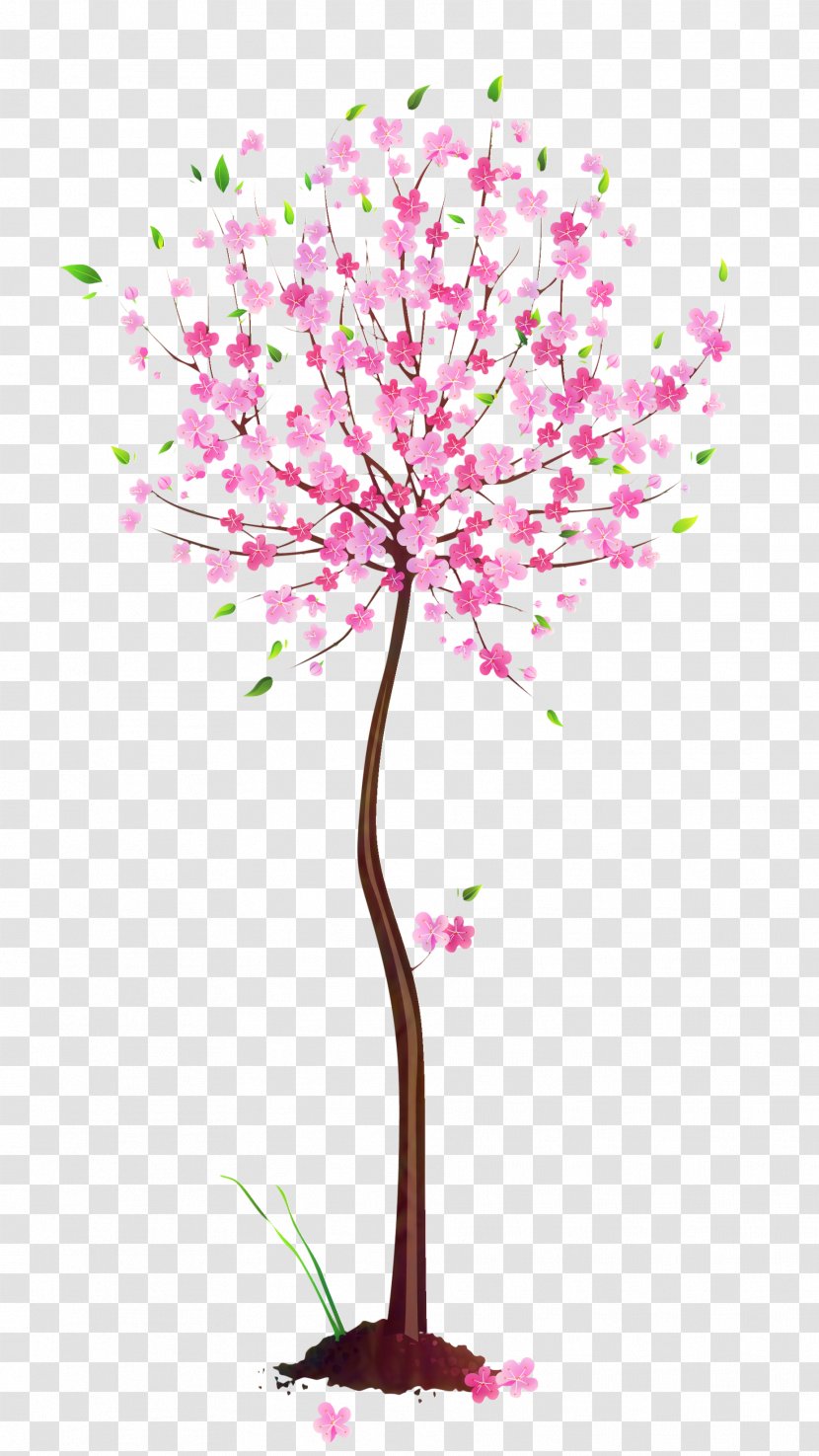 Cherry Blossom Cut Flowers Floral Design ST.AU.150 MIN.V.UNC.NR AD - Plant Stem - Branch Transparent PNG