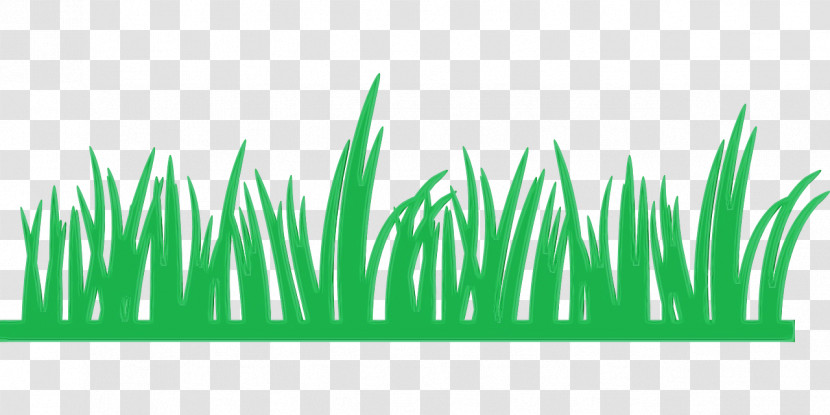 Green Grass Plant Grass Family Leaf Transparent PNG