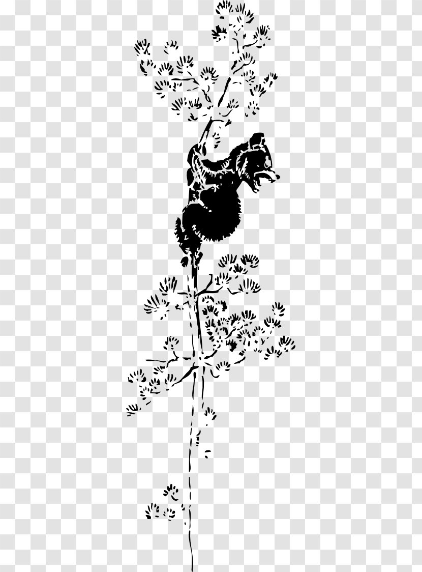 American Black Bear Giant Panda Cub Up Clip Art - Bird - Drawing Transparent PNG