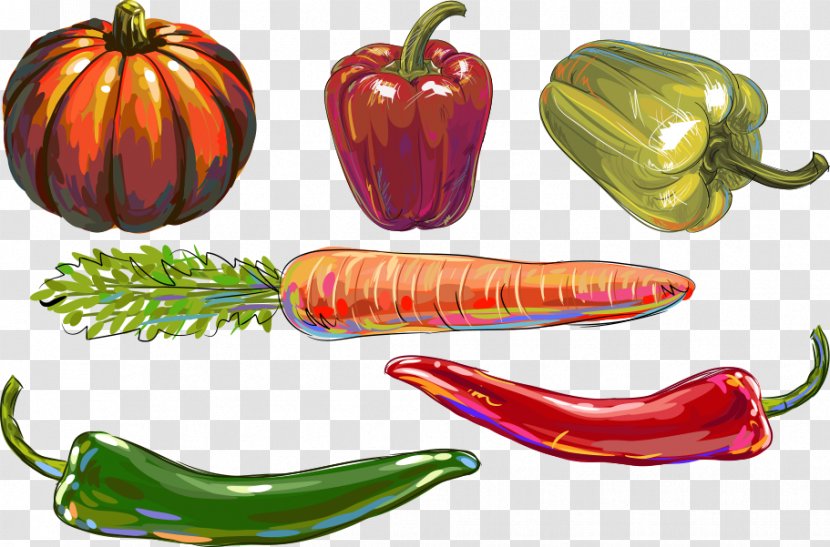 Bell Pepper Chili Vegetable Illustration - Natural Foods - Vector Pumpkin Transparent PNG
