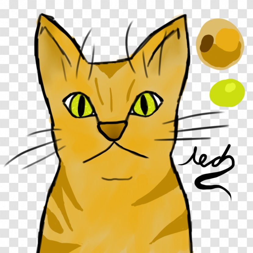 Whiskers Domestic Short-haired Cat Tabby Illustration - Kitten Transparent PNG