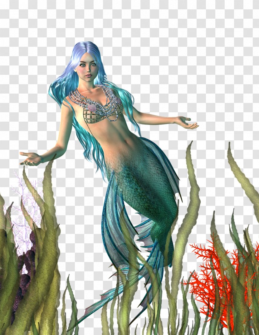 Mermaid Fairy Tale Myth - Sea Transparent PNG