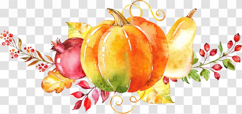 Watercolor Painting Autumn Clip Art - Orange - Hand-painted Vegetable Transparent PNG