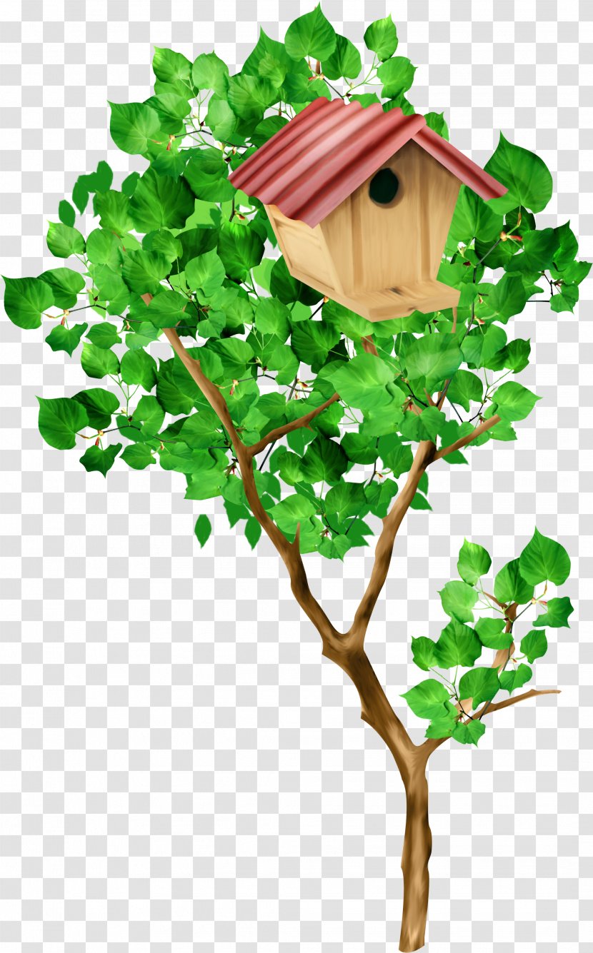 Tree Nest Box Clip Art - Plant Stem - Kartikeya Transparent PNG