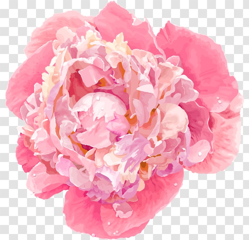 Peony Royalty-free Clip Art - Flower - Pink Flowers Transparent PNG