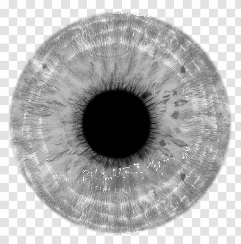 Eye Clip Art - Frame - Eyes Transparent PNG
