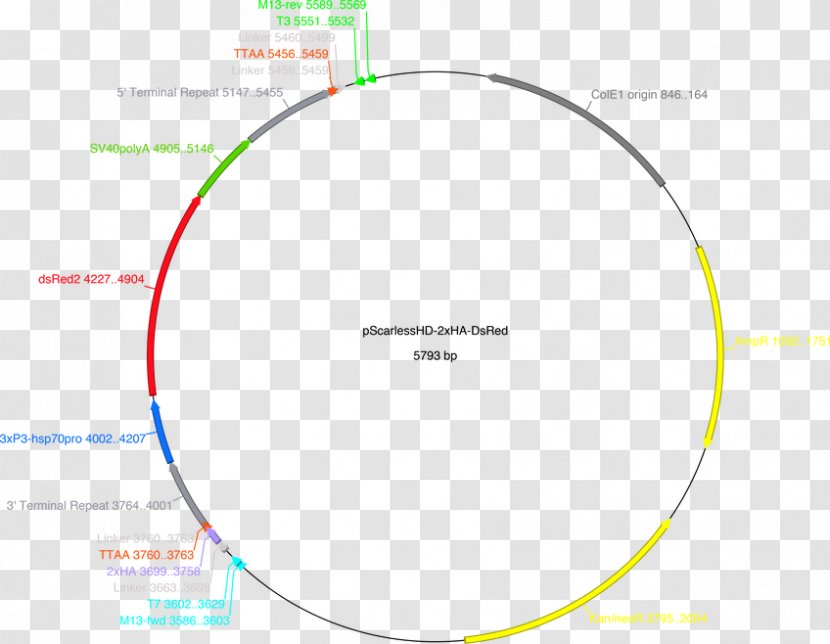 Circle Angle Document Brand - Sphere Transparent PNG