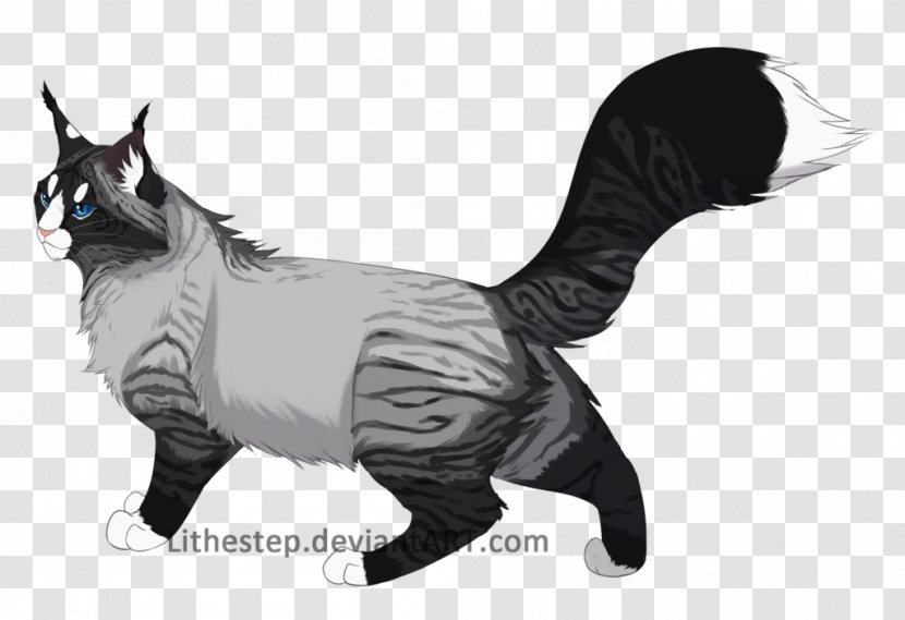 Kitten Cat Drawing Warriors Transparent PNG
