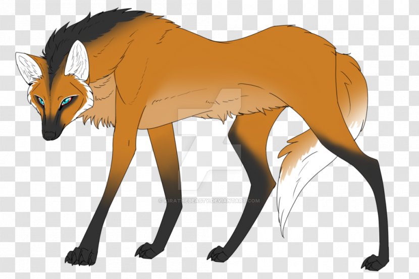 Red Fox Deer Fur Snout Transparent PNG