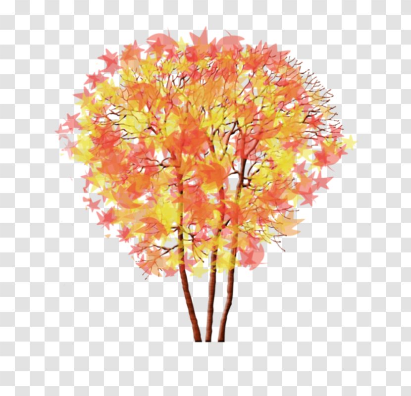 Clip Art Centerblog Tree Maple - Flowering Plant - Bibi Pattern Transparent PNG