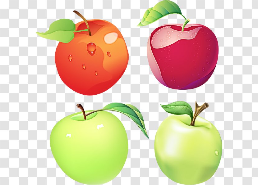 Natural Foods Fruit Apple Food Plant - Tree Local Transparent PNG