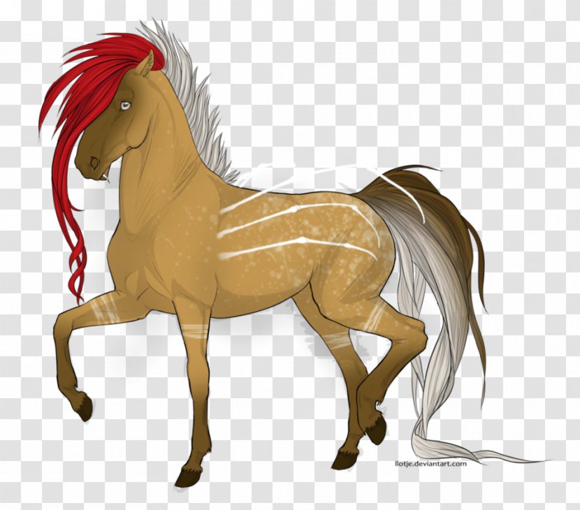 Mane Mustang Stallion Foal Pony - Horse Transparent PNG