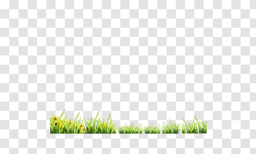 Green Google Images Download - Leaf - Grass Transparent PNG