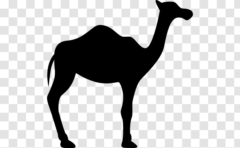 Dromedary Bactrian Camel Silhouette - Mustang Horse - Desert Elk Transparent PNG