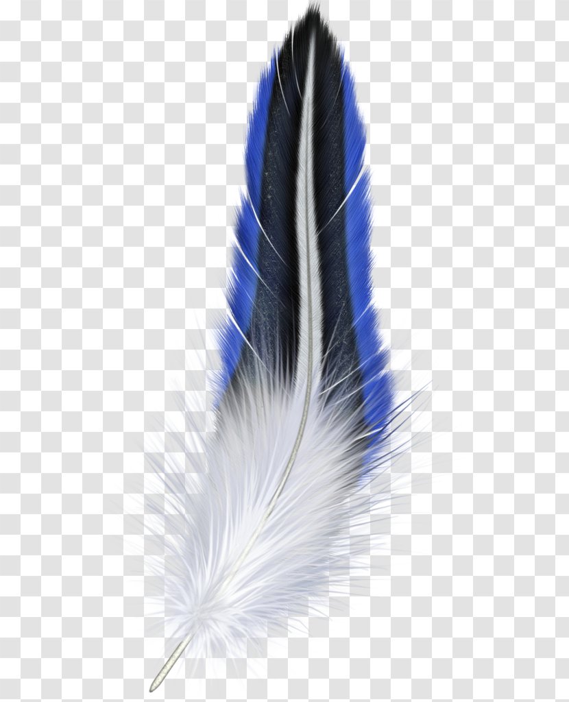 Blue Feather - Transparency And Translucency Transparent PNG
