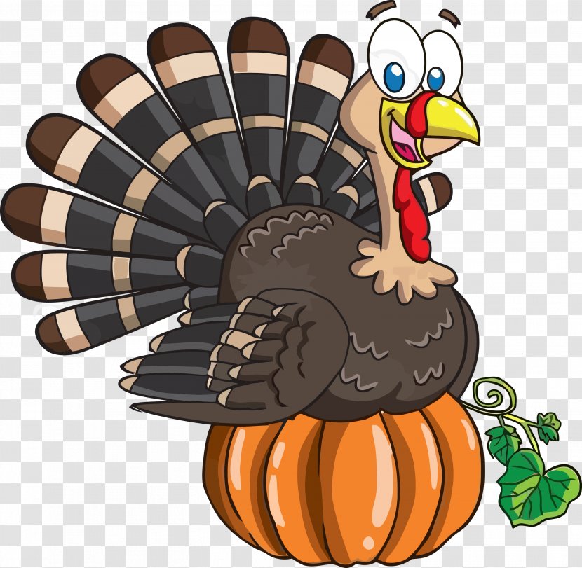 Thanksgiving Turkey - Bird - Rooster Chicken Transparent PNG