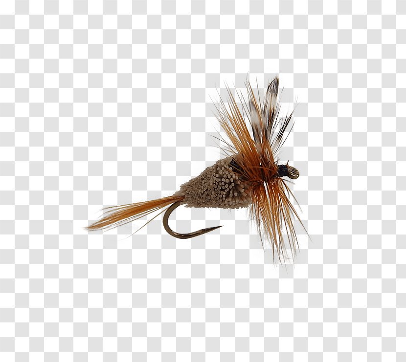 Artificial Fly Pheasant Tail Nymph Quill Gordon Trout - Invertebrate - Dry Flies Transparent PNG