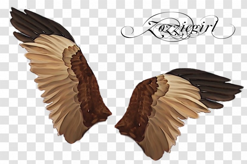 Mirror Light Parede - Relief - Wings Transparent PNG