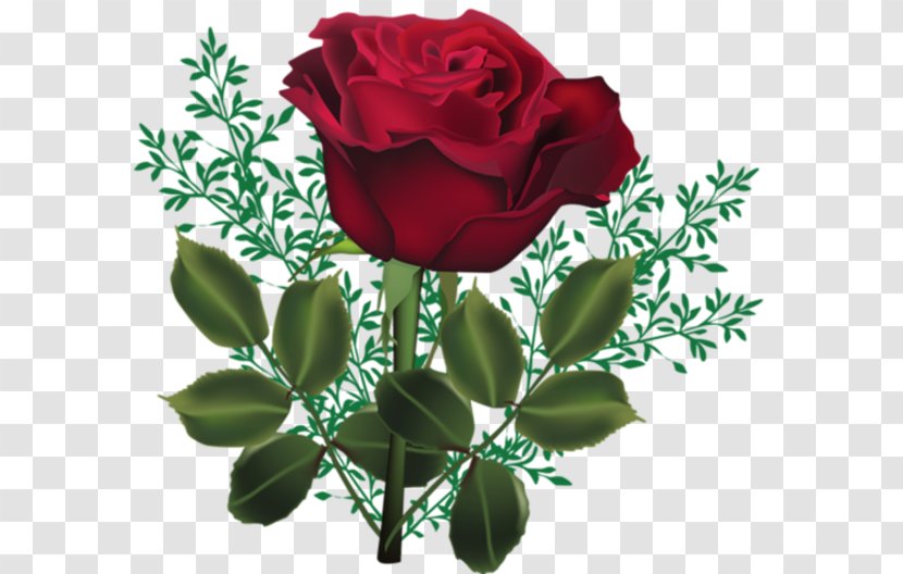 Garden Roses Flower Rosa Chinensis 'Viridiflora' Pink - Floribunda - Rose Transparent PNG
