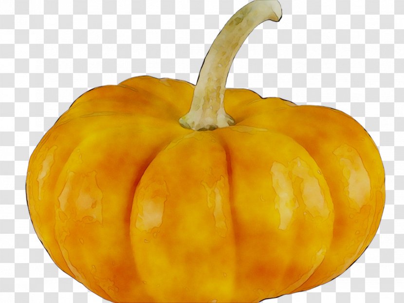 Pumpkin Butternut Squash Vegetarian Cuisine Vegetable Gourd - Summer - Bell Peppers And Chili Transparent PNG