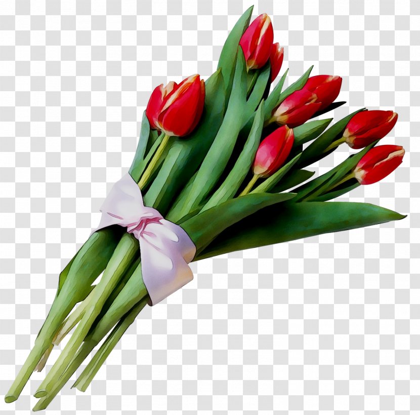Tulip International Women's Day Flower Bouquet Floral Design Transparent PNG