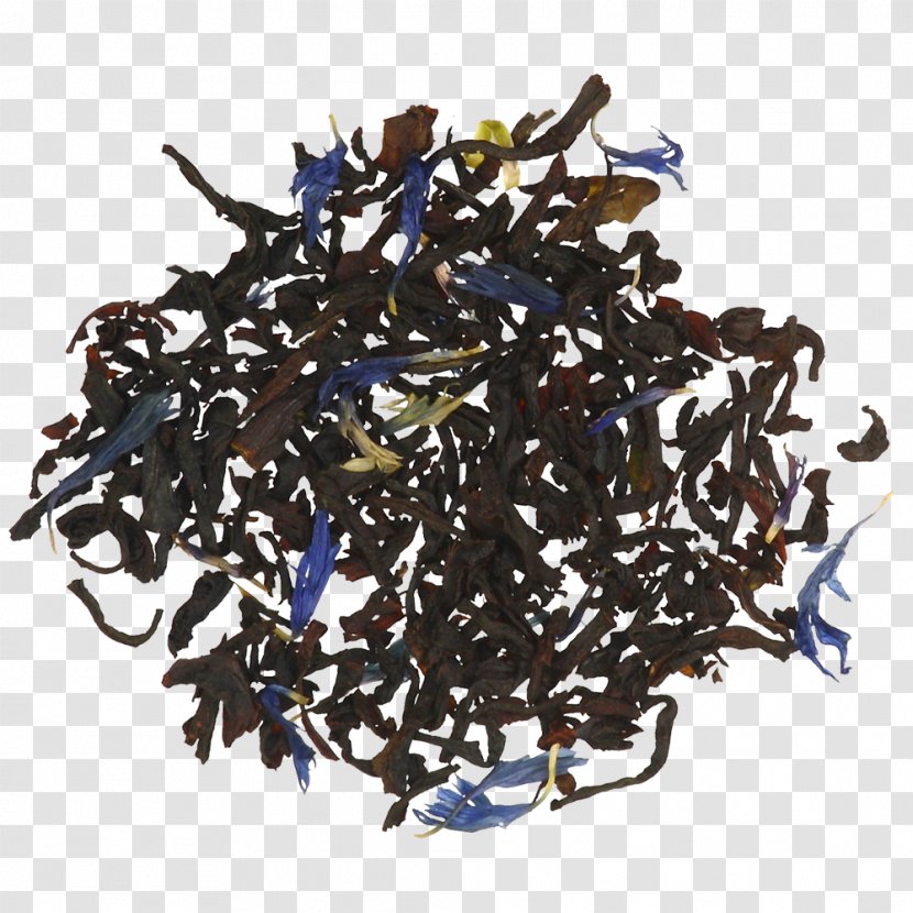 Oolong Dianhong Nilgiri Tea Jin Xuan Transparent PNG