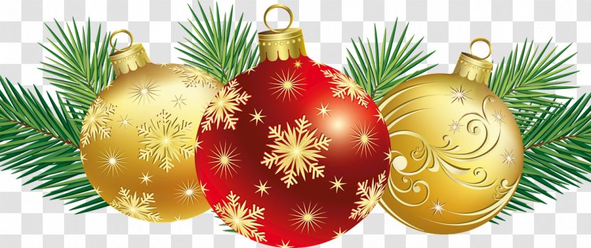Christmas Tree Animation - Conifer Pine Family Transparent PNG